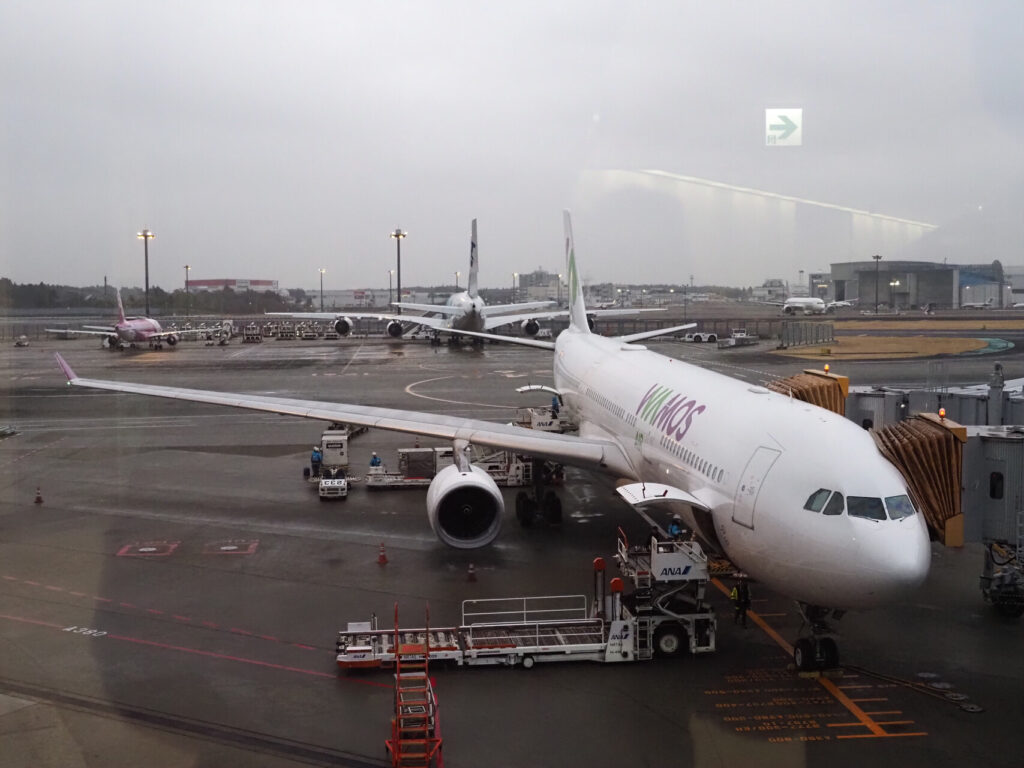 ワモスエア搭乗レビュー